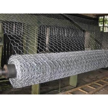 Galvanizado Hexagonal Wire Mesh (com soldado)